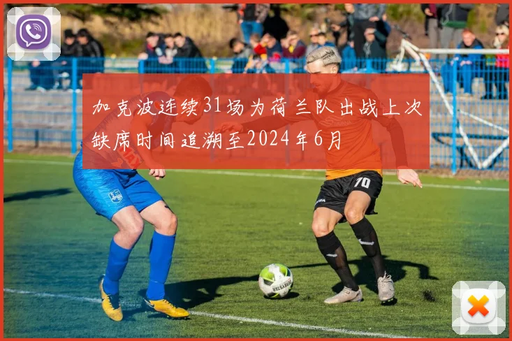 加克波连续31场为荷兰队出战上次缺席时间追溯至2024年6月